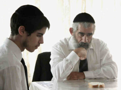 The Wanderer (2010) with English Subtitles on DVD