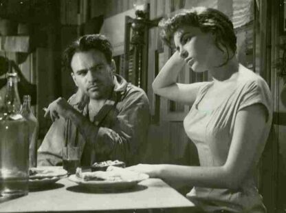 The Waves of the Danube (1960) with English Subtitles on DVD - Image 3