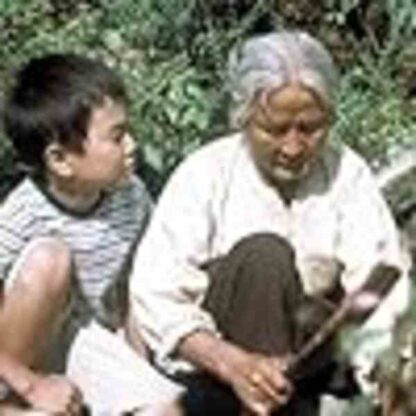 The Way Home (2002) with English Subtitles on DVD - Image 2