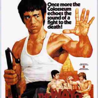 The Way of the Dragon (1972) with English Subtitles on DVD