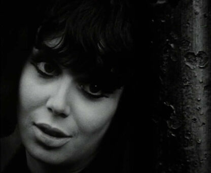 The Wednesday Play Up the Junction (1965) Starring Carol White on DVD - Image 2