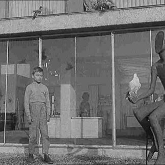 The White Dove (1960) with English Subtitles on DVD