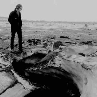 The White Stripes Under Great White Northern Lights (2009) Starring Alex Debogorski on DVD