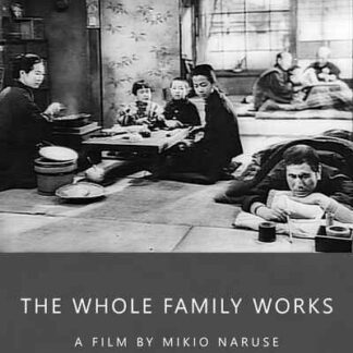 The Whole Family Works (1939) with English Subtitles on DVD