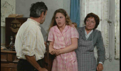 The Widow Couderc (1971) with English Subtitles on DVD - Image 3