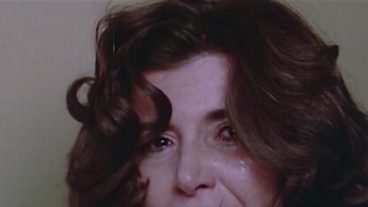 The Wife of an Important Man (1987) with English Subtitles on DVD