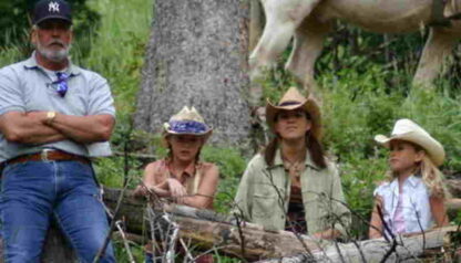 The Wild Stallion (2009) Starring Connie Sellecca on DVD - Image 3