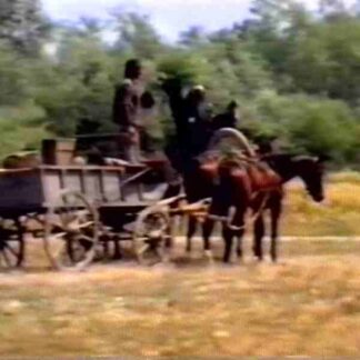 The Willow Tree (1984) with English Subtitles on DVD