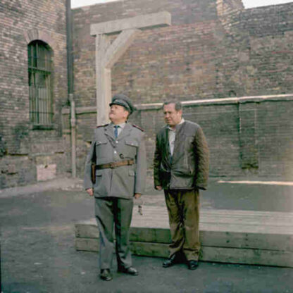 The Witness (1969) with English Subtitles on DVD - Image 2