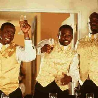 The Wood (1999) Starring Elayn J. Taylor on DVD