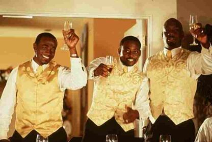 The Wood (1999) Starring Elayn J. Taylor on DVD