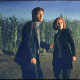The X Files (1998) Starring David Duchovny on DVD