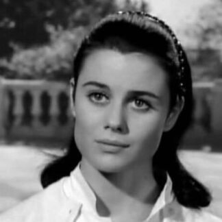 The Young Lovers (1964) Starring Peter Fonda on DVD