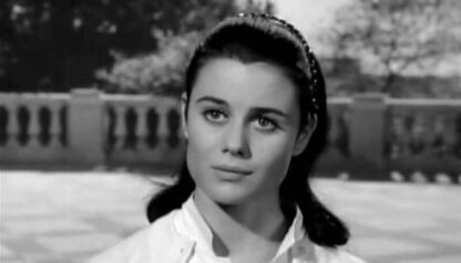 The Young Lovers (1964) Starring Peter Fonda on DVD