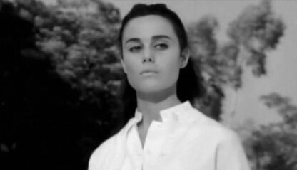 The Young Lovers (1964) Starring Peter Fonda on DVD - Image 2