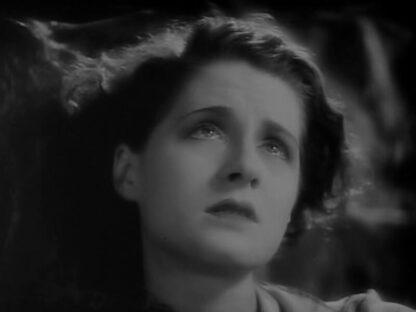 Their Own Desire (1929) Starring Norma Shearer on DVD - Image 4