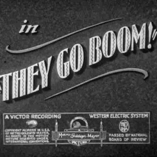 They Go Boom! (1929) Starring Stan Laurel on DVD