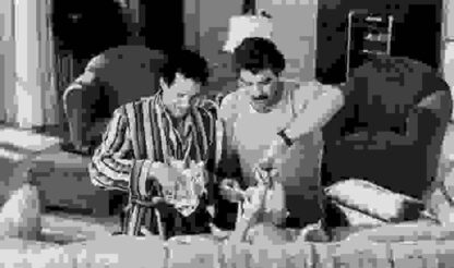 Three Men and a Baby (1987) Starring Tom Selleck on DVD - Image 3