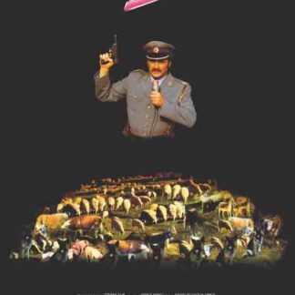 Three Tickets to Hollywood (1993) with English Subtitles on DVD