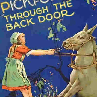 Through the Back Door (1921) Starring Mary Pickford on DVD