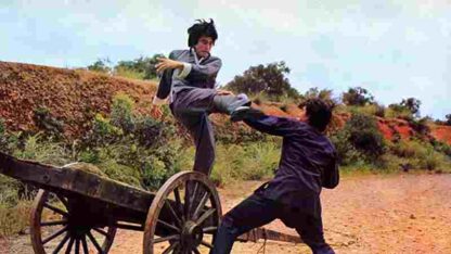 Tie nu fu hu (1974) with English Subtitles on DVD - Image 3