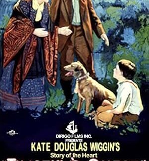 Timothy's Quest (1922) DVD