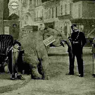 Tiny Tim and the Adventures of His Elephant (1913) with English Subtitles on DVD