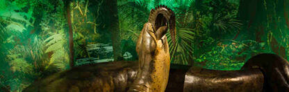 Titanoboa: Monster Snake (2012) Starring  on DVD - Image 4