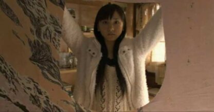 Tokyo Serendipity (2007) with English Subtitles on DVD - Image 3