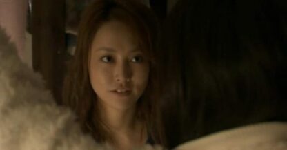Tokyo Serendipity (2007) with English Subtitles on DVD - Image 4