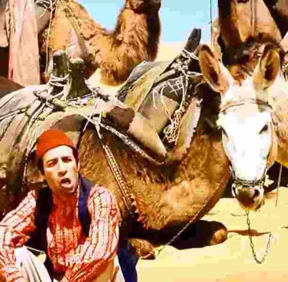 Tosun Pasa (1976) with English Subtitles on DVD - Image 2