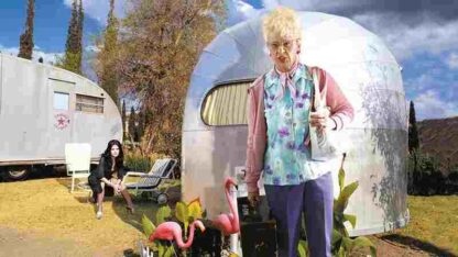 Tracey Ullman in the Trailer Tales (2003) Starring Tracey Ullman on DVD - Image 3