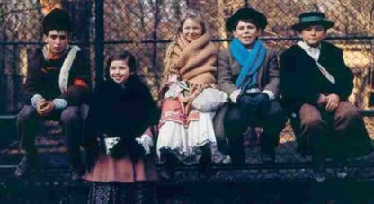 Train in the Snow (1976) with English Subtitles on DVD