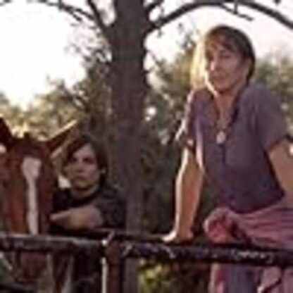 Transamerica (2005) Starring Andrea James on DVD - Image 4