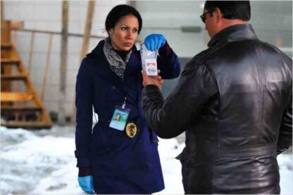 True Justice Vengeance is Mine (2012) with English Subtitles on DVD