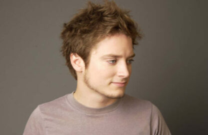 Try Seventeen (2002) Starring Elijah Wood on DVD - Image 2