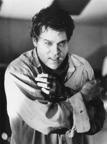 Turbulence (1997) Starring Ray Liotta on DVD - Image 3