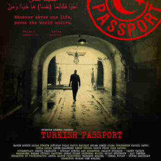 Türk Pasaportu (2011) with English Subtitles on DVD