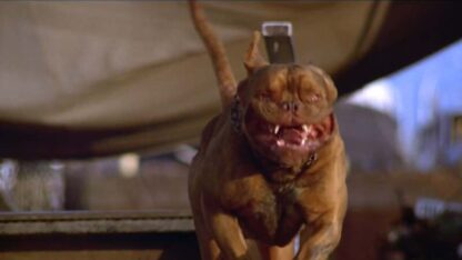 Turner & Hooch (1989) Starring Tom Hanks on DVD - Image 3