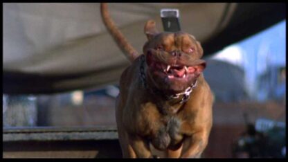 Turner & Hooch (1989) Starring Tom Hanks on DVD - Image 4