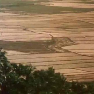Turumba (1981) with English Subtitles on DVD