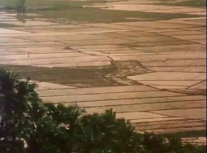 Turumba (1981) with English Subtitles on DVD