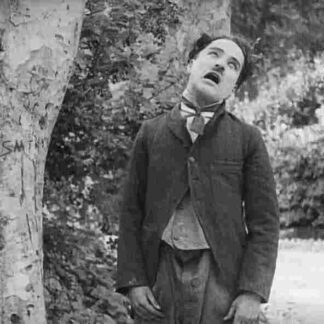 Twenty Minutes of Love (1914) with English Subtitles on DVD