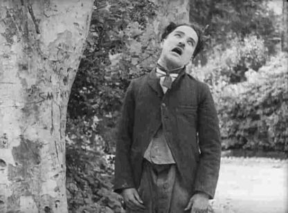Twenty Minutes of Love (1914) with English Subtitles on DVD
