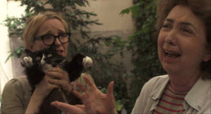Two Days in Paris (2007) Starring Julie Delpy on DVD - Image 2