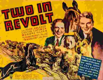 Two in Revolt (1936) Starring John Arledge on DVD - Image 2