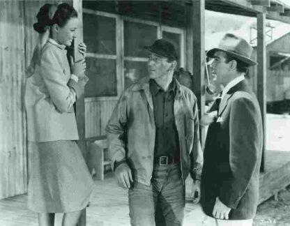 Tycoon (1947) with English Subtitles on DVD