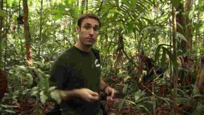 Uakari: Secrets of the English Monkey (2009) Starring on DVD - Image 2