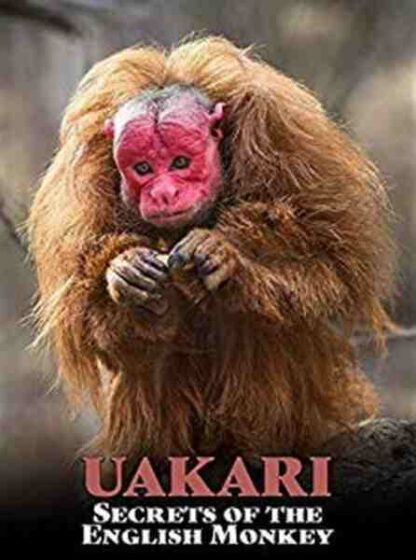 Uakari: Secrets of the English Monkey (2009) Starring on DVD - Image 5