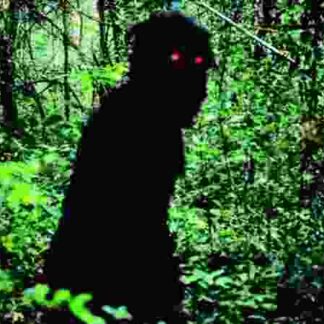 Uncle Boonmee Who Can Recall His Past Lives (2010) with English Subtitles on DVD